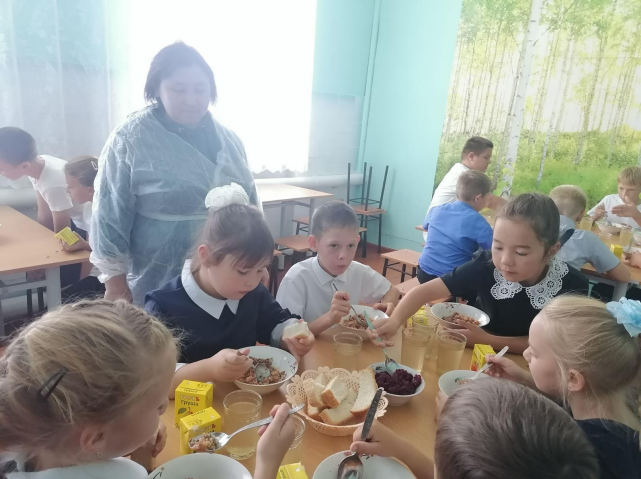 Родительский контроль СОШ с.Новая Порубежка